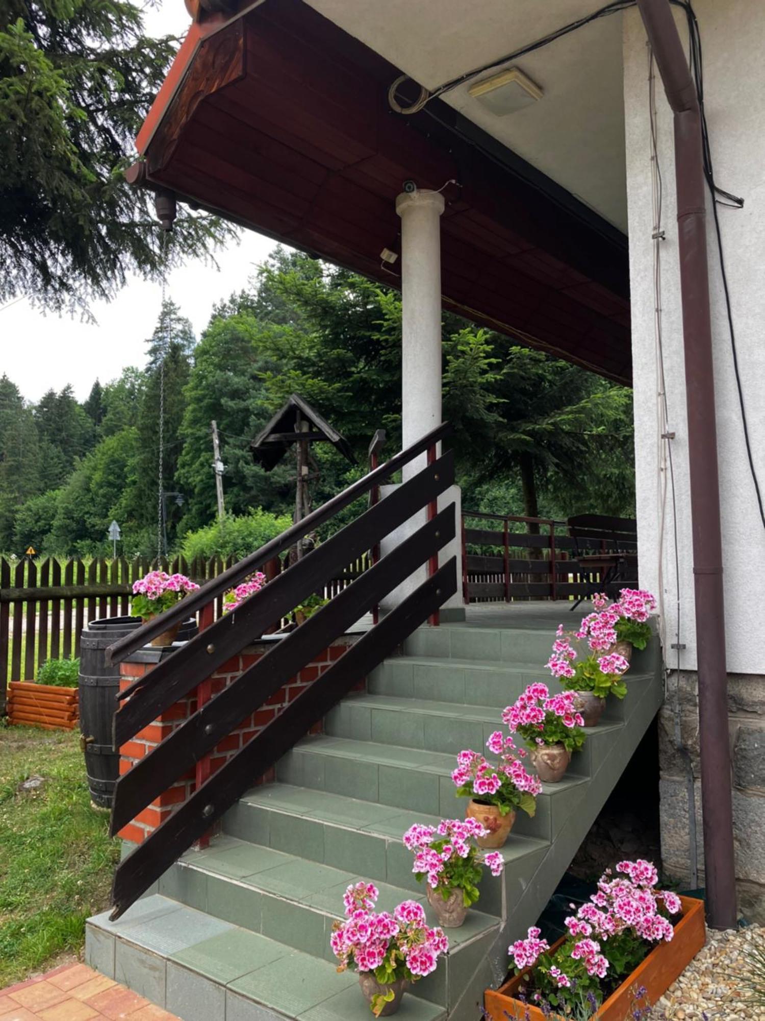 Base Camp Pieniny Hotel Niedzica Bagian luar foto